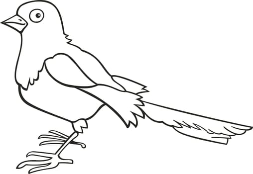 illustration of magpie bird for coloring book