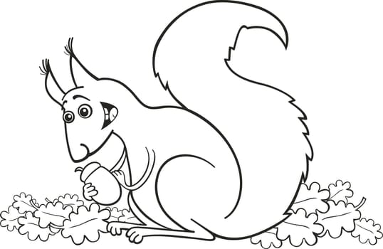 illustration of funny red squirrel with nut for coloring book