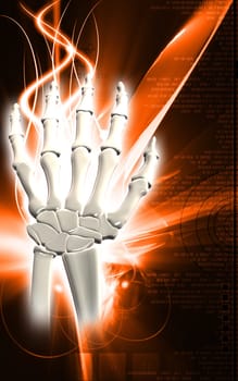 Digital illustration of hand bone in colour background
