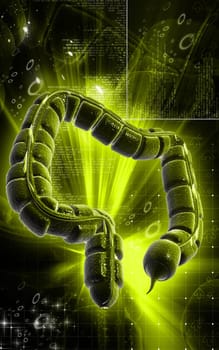 Digital illustration of large intestine in colour background