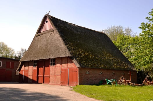Thatched roof house