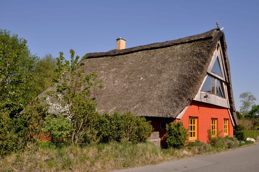 Thatched roof house