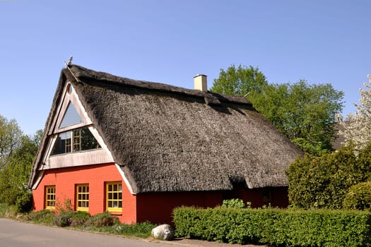Thatched roof house
