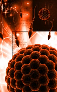 Digital illustration of Sperm and Egg in colour background