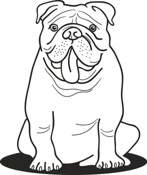 illustration of bulldog for coloring book