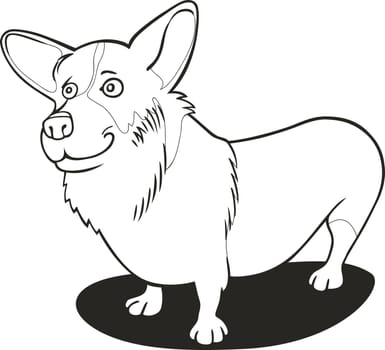 illustration of Pembroke Welsh Corgi for coloring book