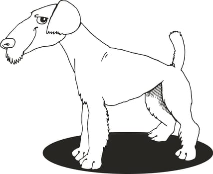 illustration of Airedale terrier for coloring book