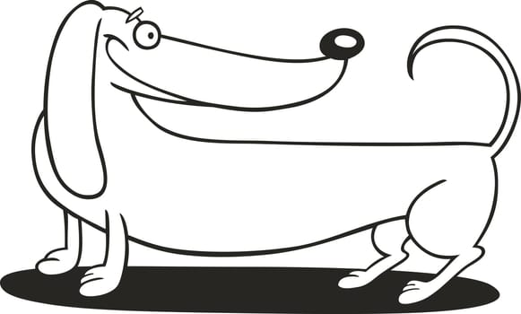 illustration of purebred Dachshund Dog for coloring book