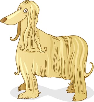 llustration of purebred afghan hound dog