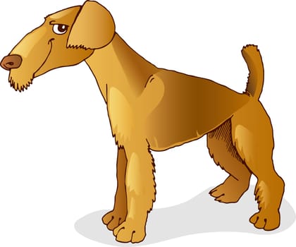Illustration of purebred airedale terrier dog