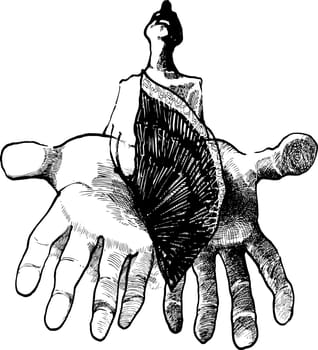 Illustration of man with butterfly on his hand