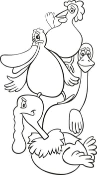 illustration of Farm birds for coloring book