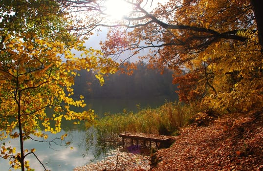 Autumn by the lake
