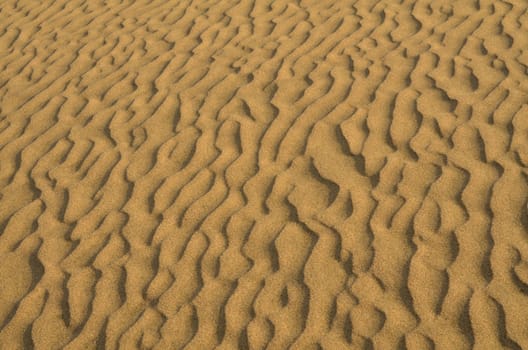 Sand dunes in Gran Canaria