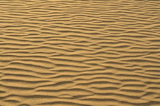 Sand dunes in Gran Canaria