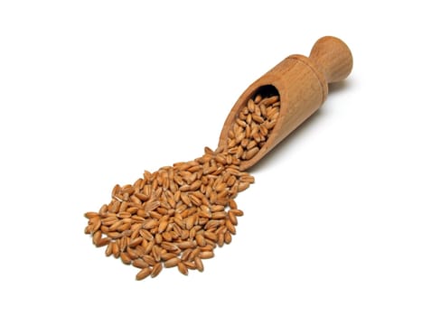some spelt