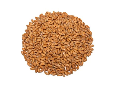 some spelt