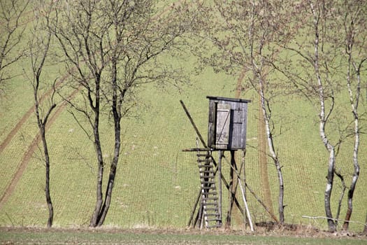 Raised hide