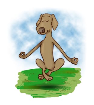 humorous illustration of meditating and levitating dog
