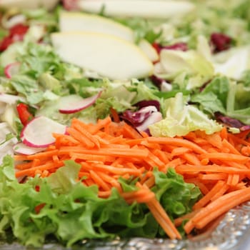 Fresh,mixed salad with carrots,lettuce and melons - square