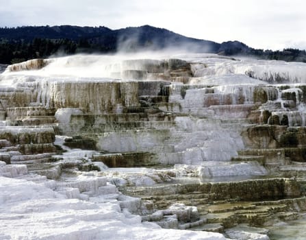 Minerva Terrace at Mammoth Hot Springs, Wyoming