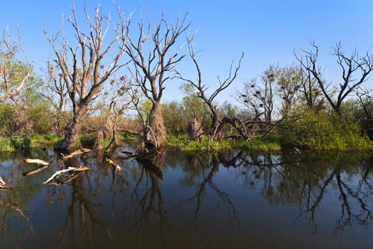 a river channel in Danube Delta, Romania