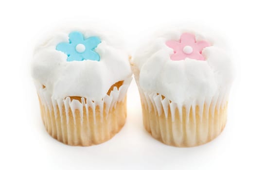 little iced cupcake isolated on white background