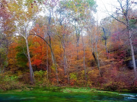 beautiful scene of missouri in autumn or fall