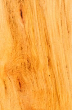 Close up of prefinished hardwood flooring sample