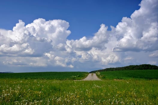 Cumulus clouds