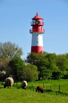Lighthouse
