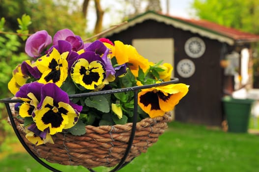 Garden Terrace Spring