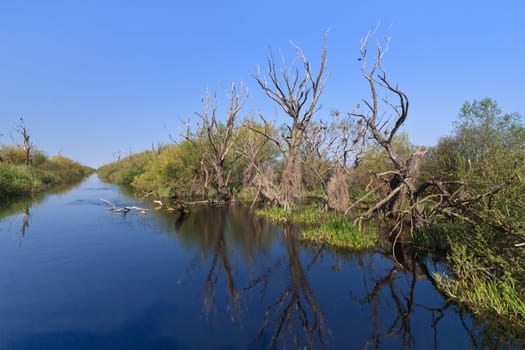 a river channel in the Danube Delta, Romania