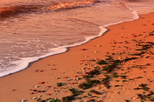 reflection of sun on sand beaches wild