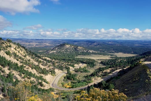 Road in Colorado