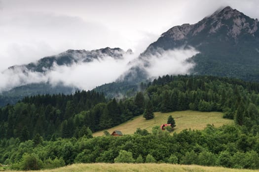 a green forest near a mountain in clouds