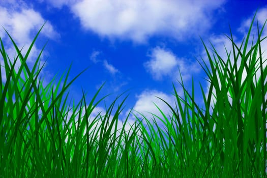 Grass Meadow Sky Sun Graphic