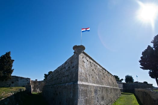 Castle with flag