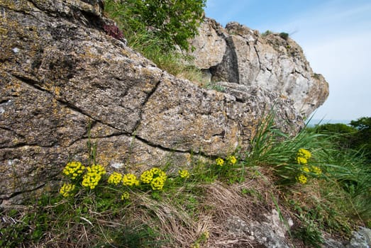 Rock on a hill