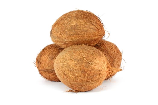 Coconuts isolated on white background