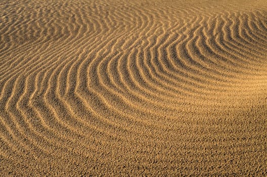 Sand dunes in Gran Canaria