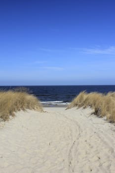 romantic path to the beach