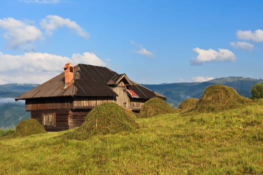 a rustic house on a hill with grass