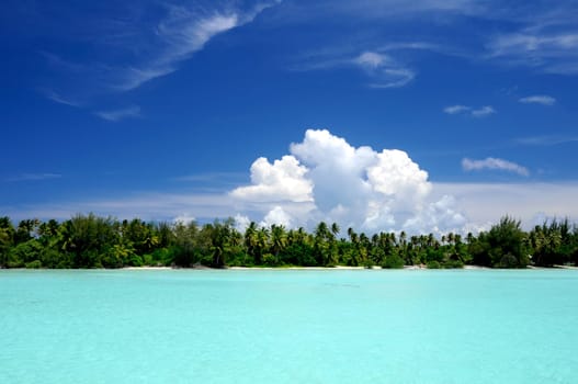 South Seas Paradise