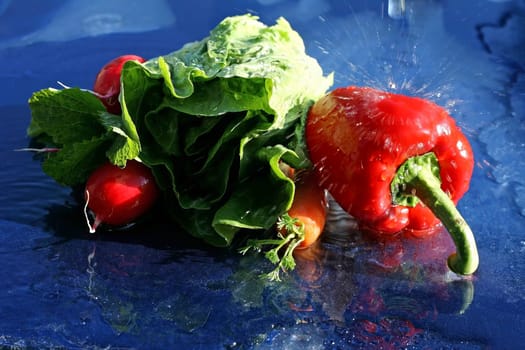 Healthy vegetables and salad