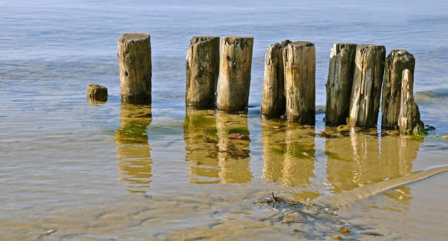 Bollard