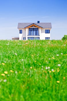 New family house in a flower meadow