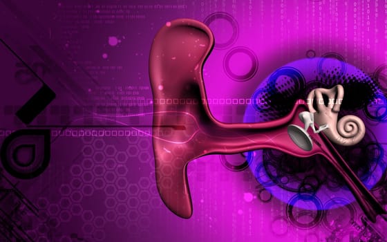 Digital illustration of ear in colour background