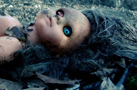 Forgotten doll in the forest