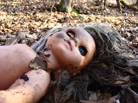 Forgotten doll in the forest